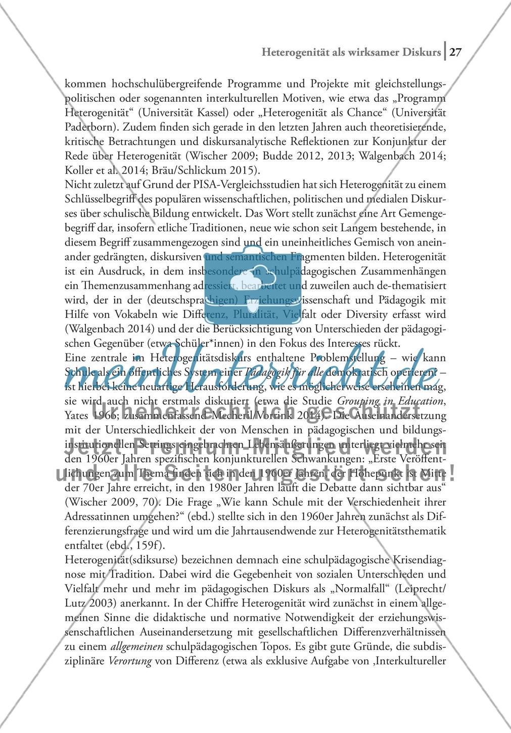 Heterogenität als wirksamer Diskurs Preview 2