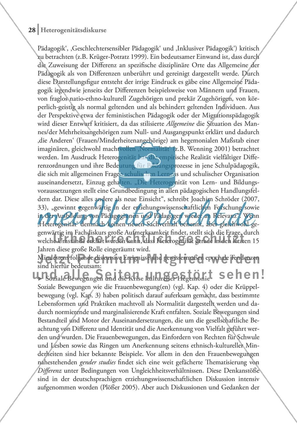 Heterogenität als wirksamer Diskurs Preview 3