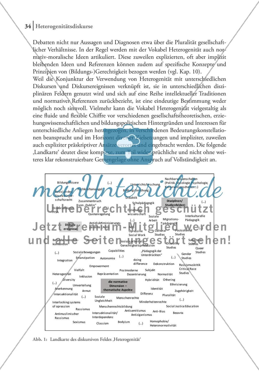 Heterogenität als wirksamer Diskurs Preview 9