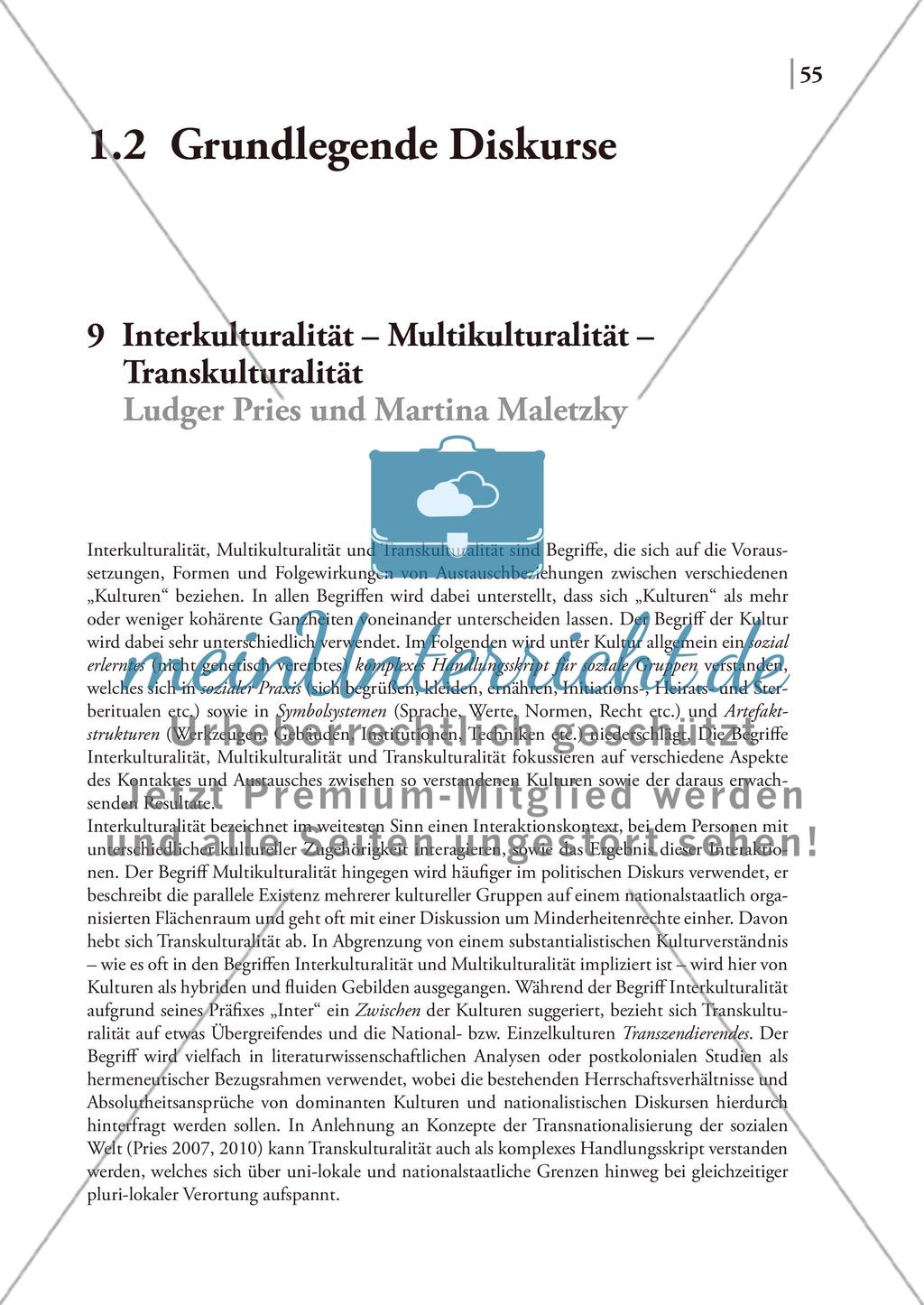 Interkulturalität – Multikulturalität – Transkulturalität Preview 1