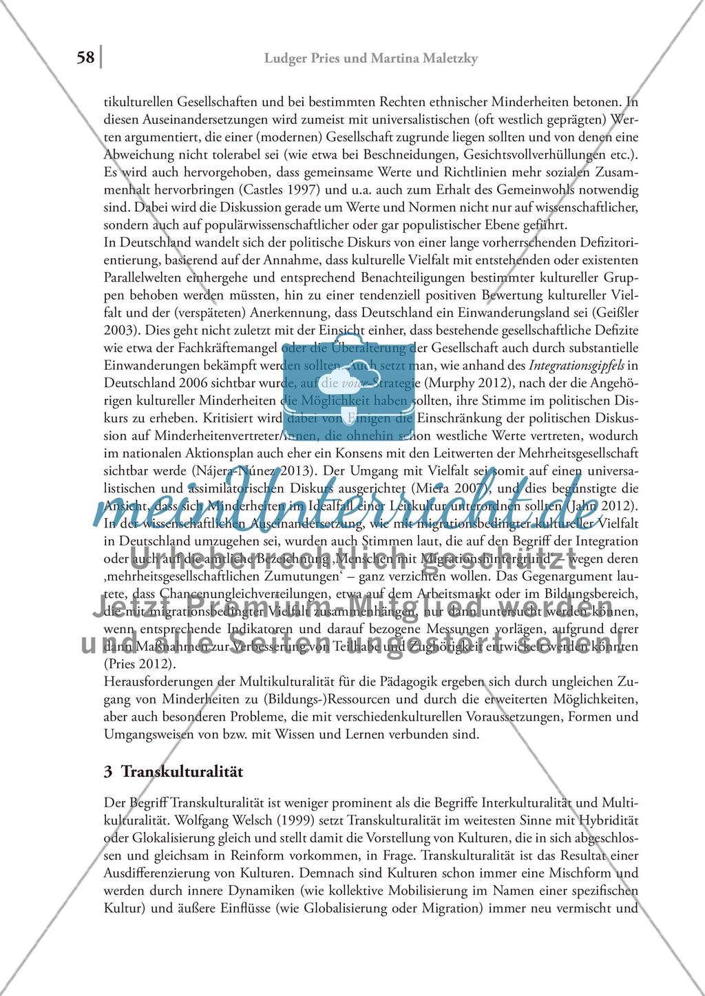 Interkulturalität – Multikulturalität – Transkulturalität Preview 4