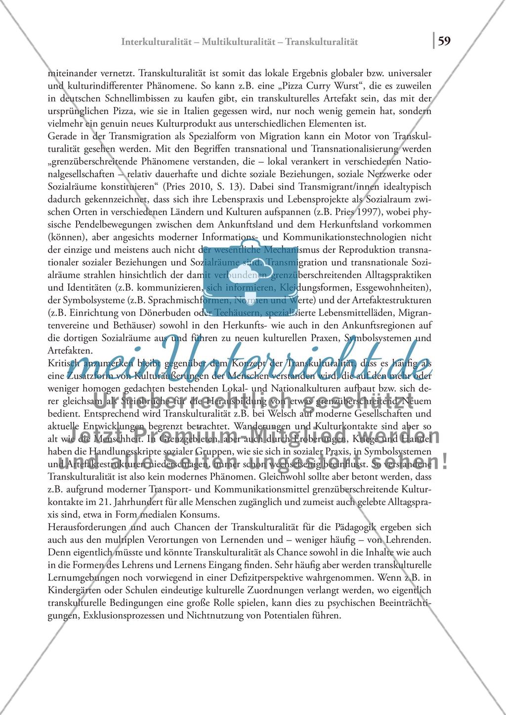 Interkulturalität – Multikulturalität – Transkulturalität Preview 5