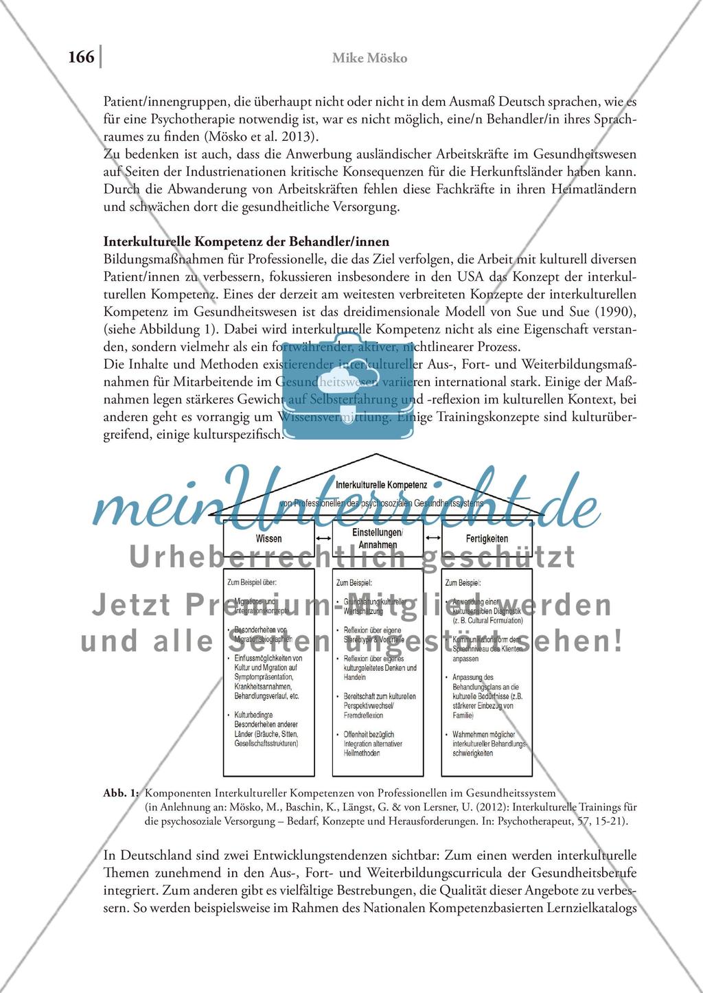 Interkulturalität in Medizin und Gesundheitswesen Preview 4