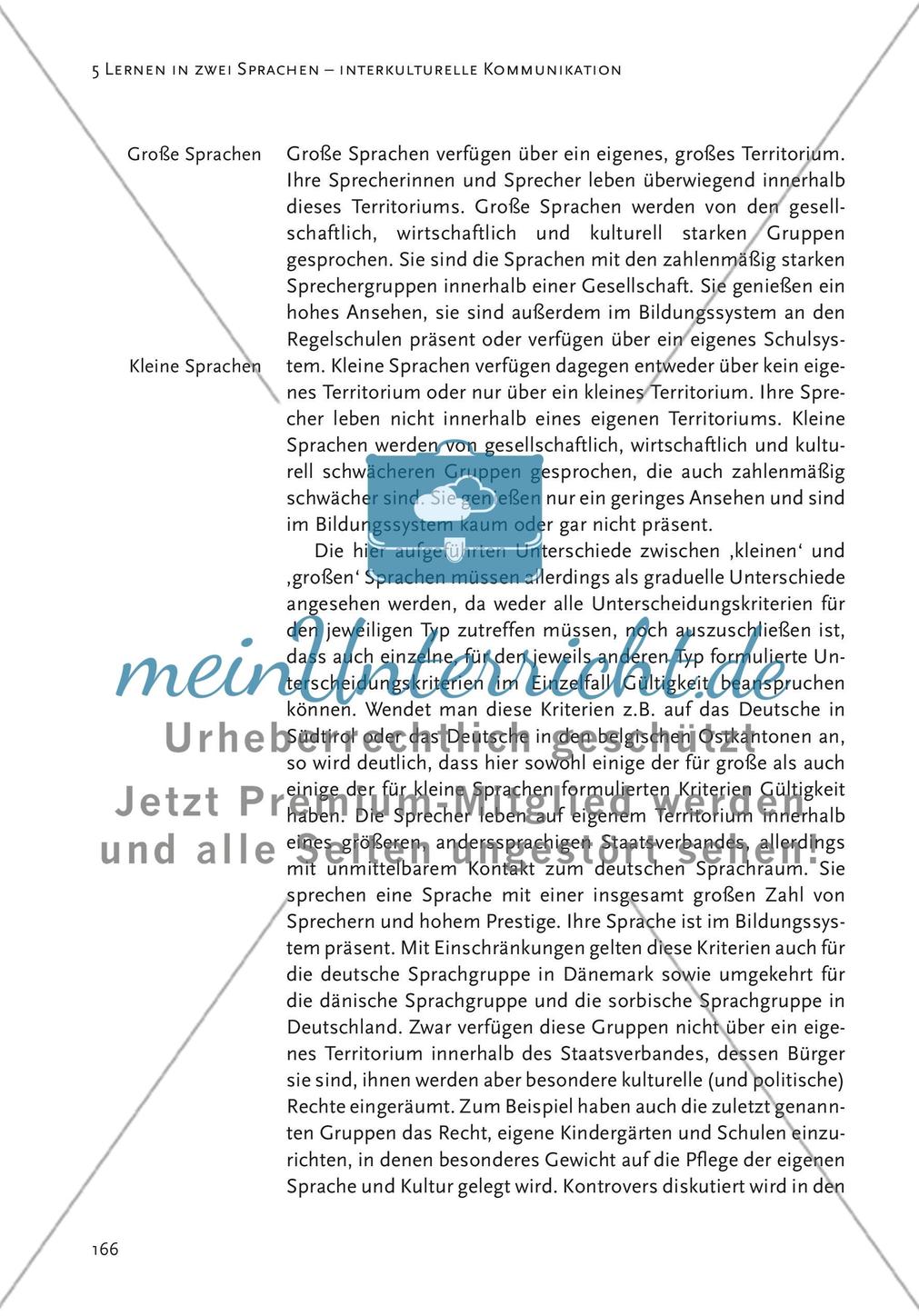 Mehrsprachigkeit und interkulturelle Kommunikation Preview 10