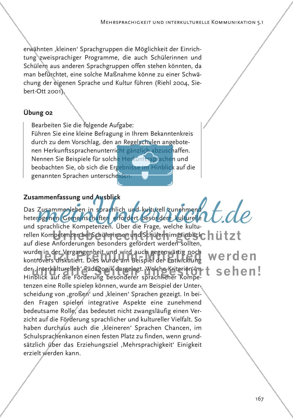 Mehrsprachigkeit und interkulturelle Kommunikation Preview 11
