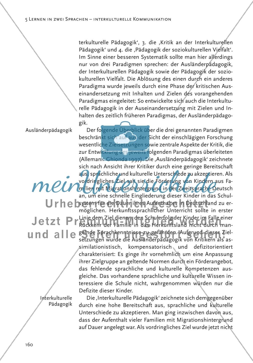 Mehrsprachigkeit und interkulturelle Kommunikation Preview 4