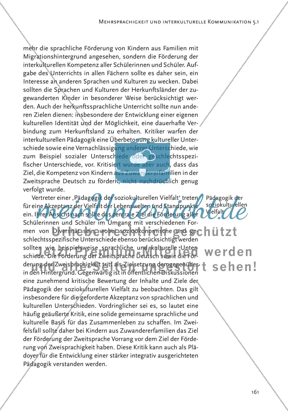Mehrsprachigkeit und interkulturelle Kommunikation Preview 5