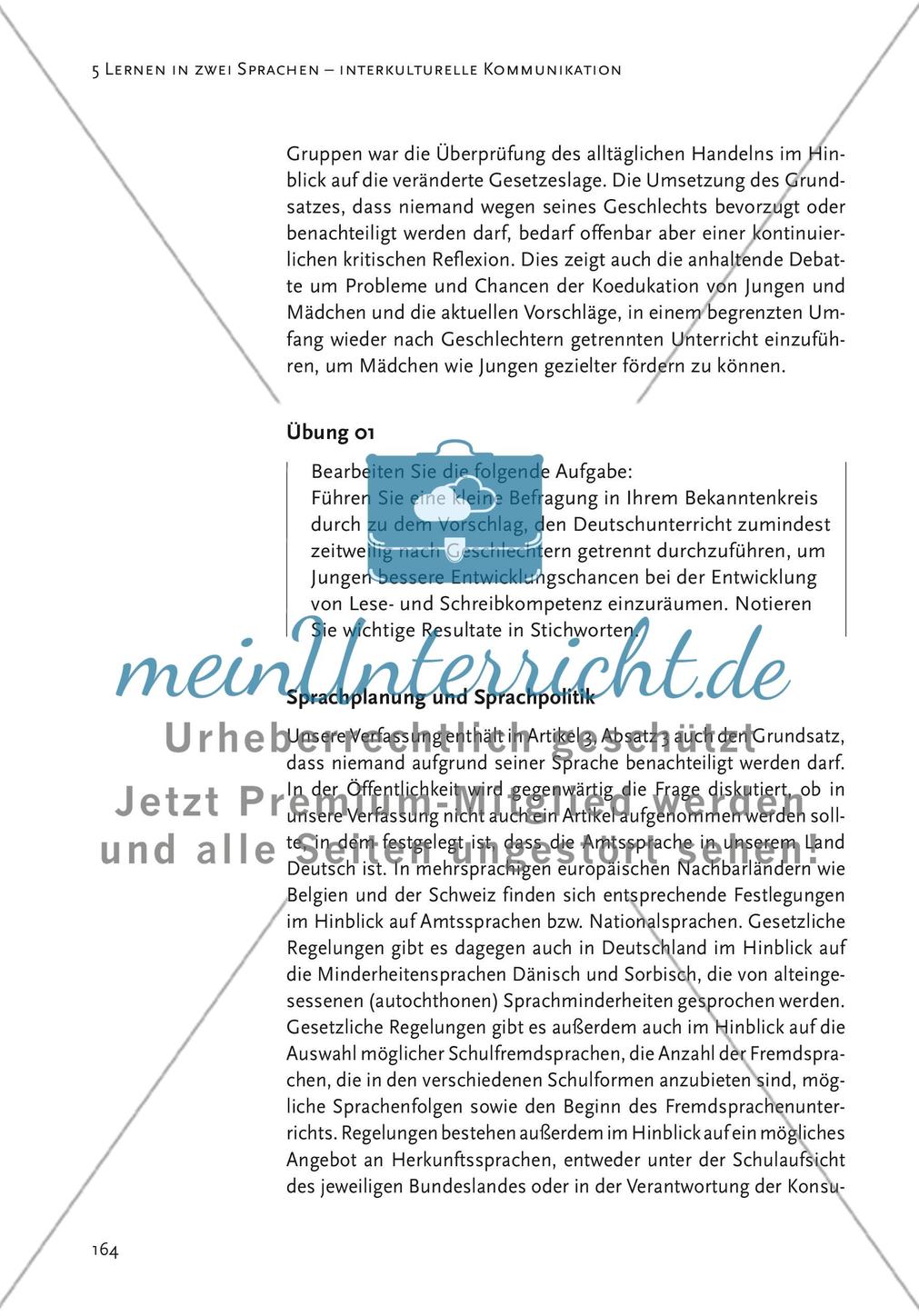 Mehrsprachigkeit und interkulturelle Kommunikation Preview 8