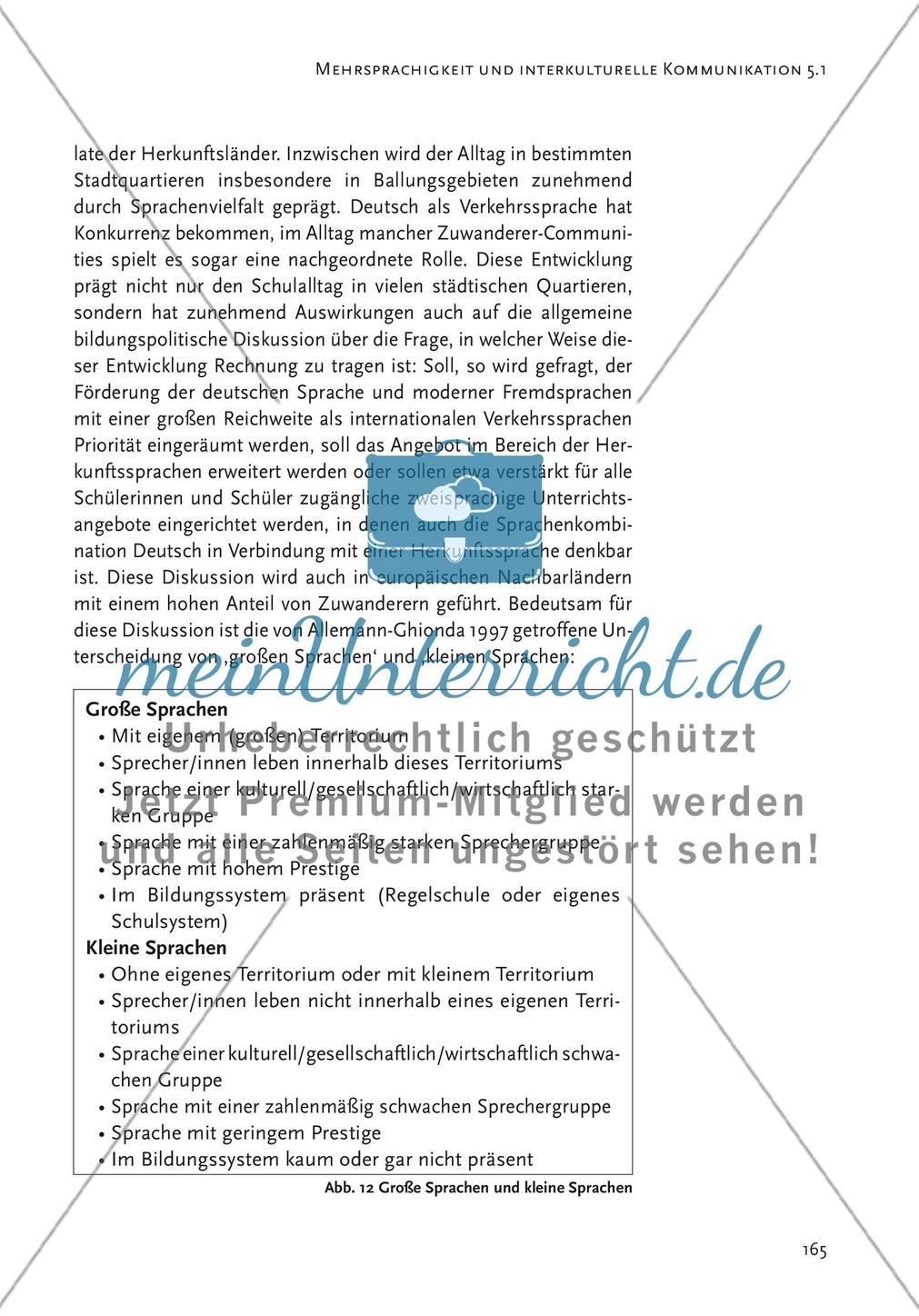 Mehrsprachigkeit und interkulturelle Kommunikation Preview 9