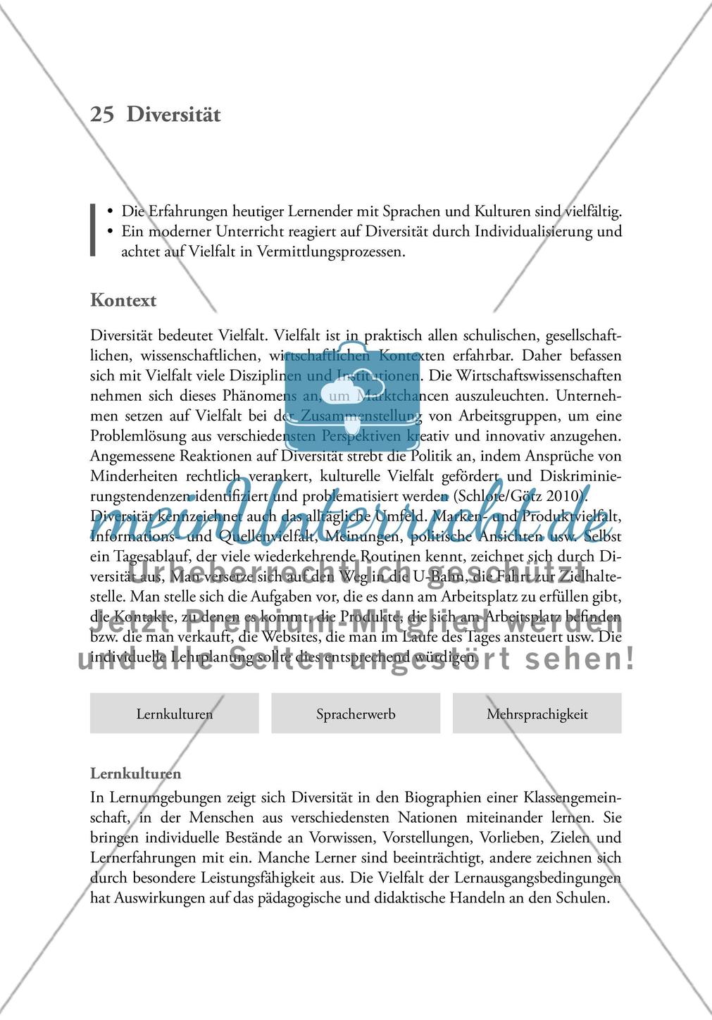 Diversität Preview 1