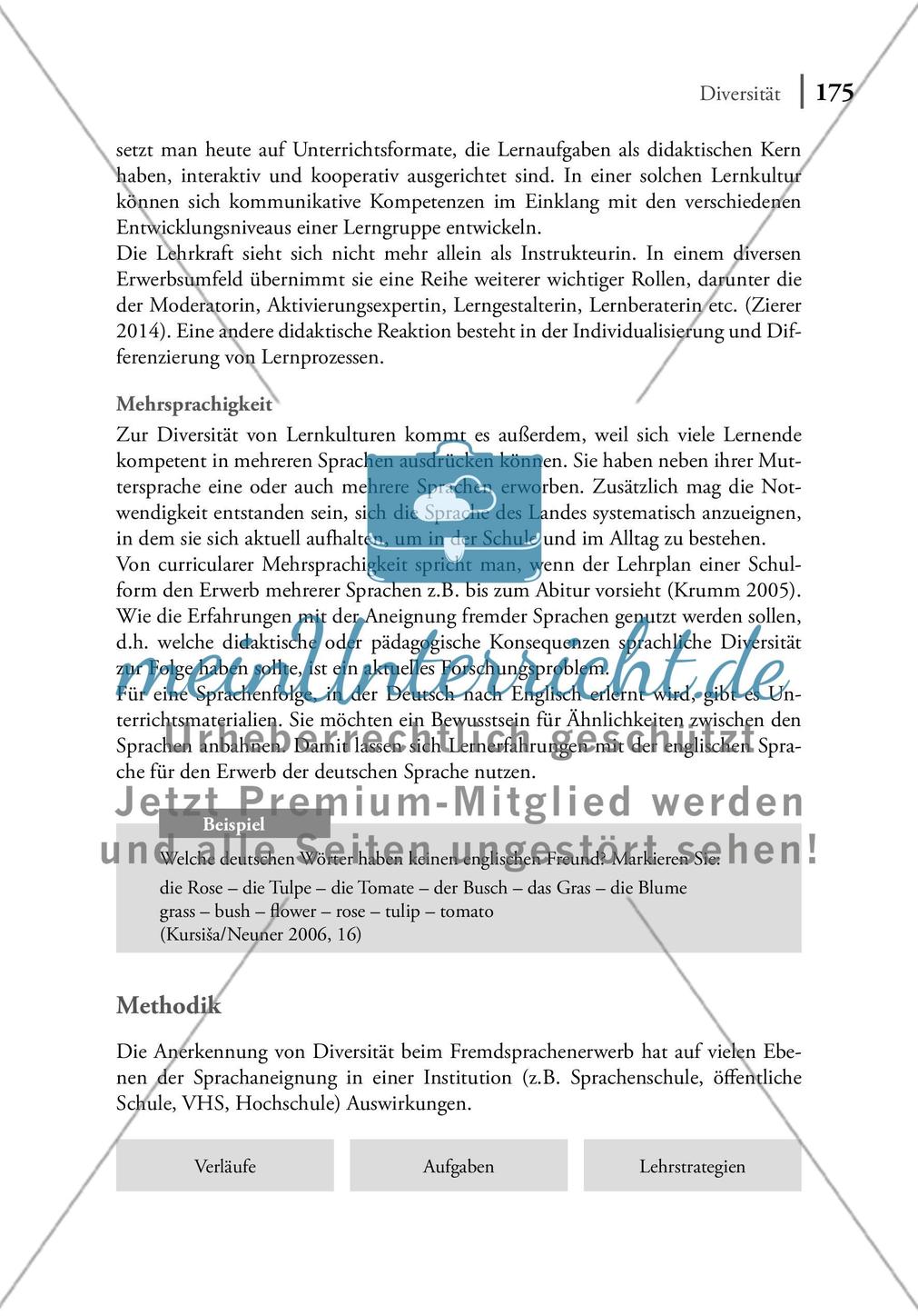 Diversität Preview 3