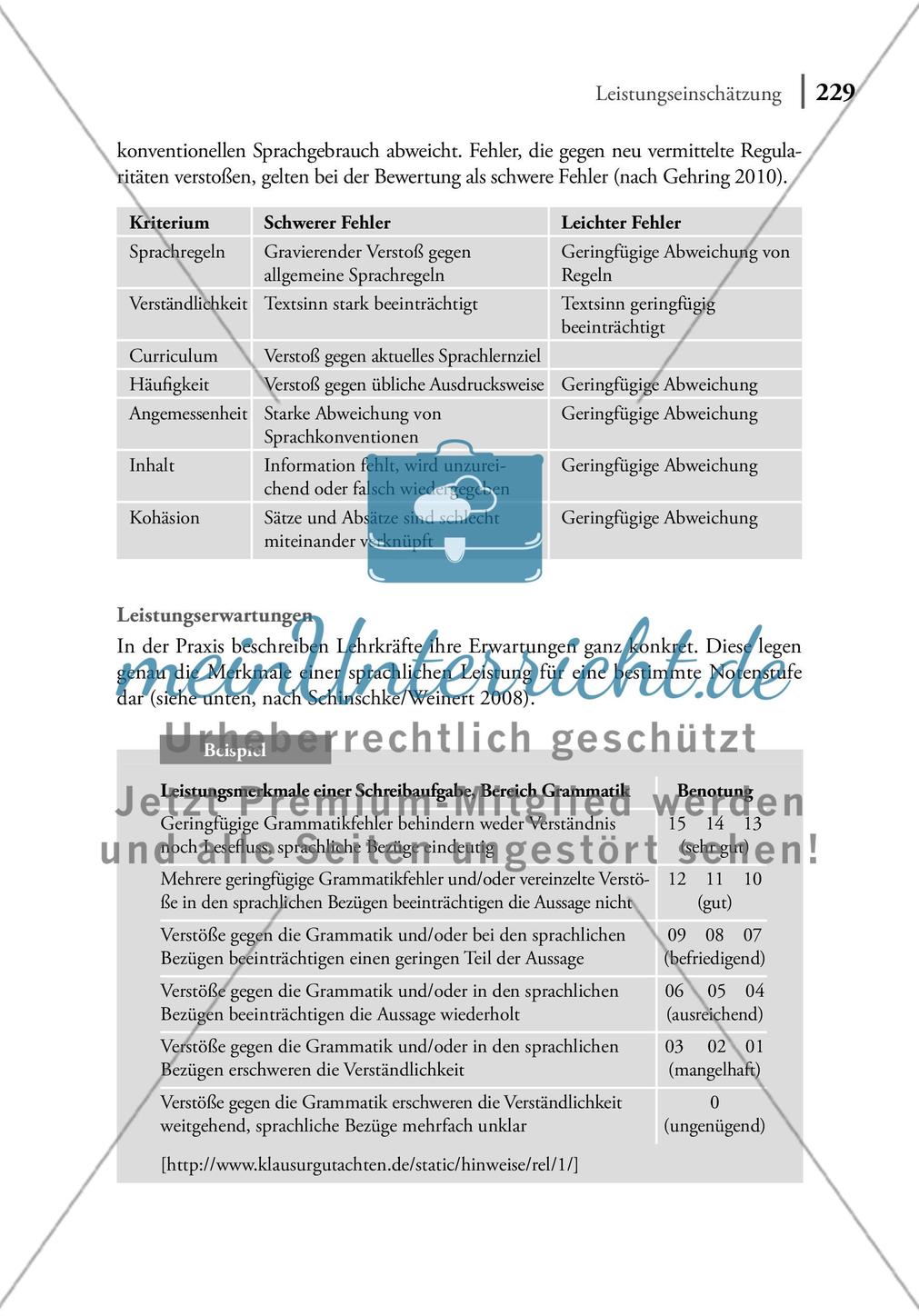 Leistungseinschätzung Preview 3