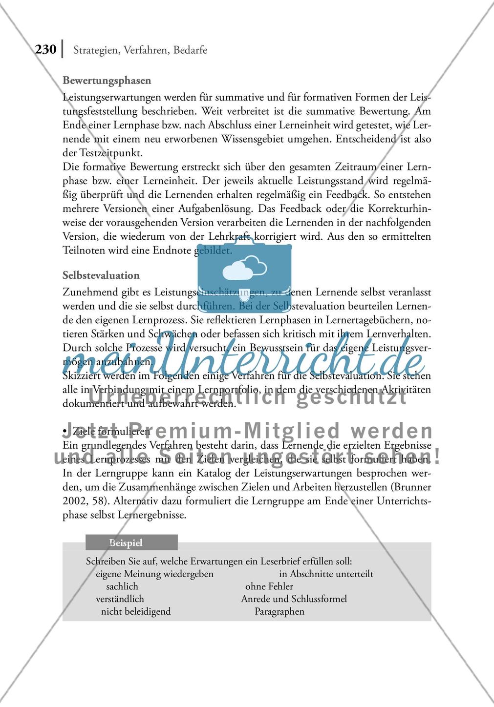 Leistungseinschätzung Preview 4