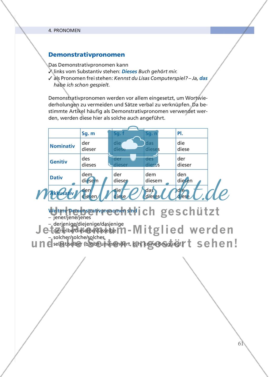 Pronomen Preview 12