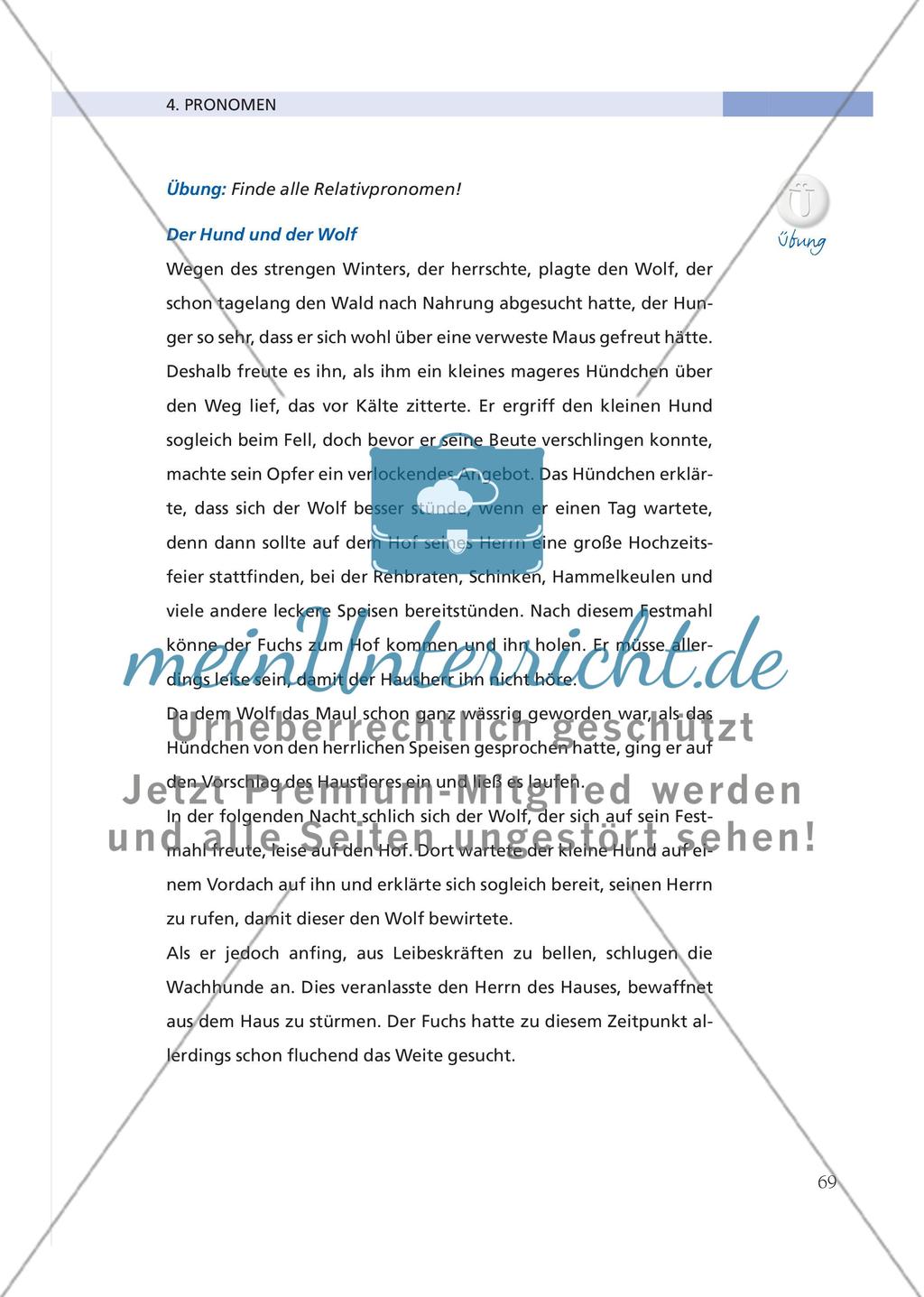 Pronomen Preview 20