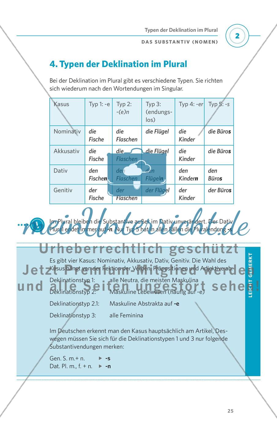 Das Substantiv (Nomen) Preview 13