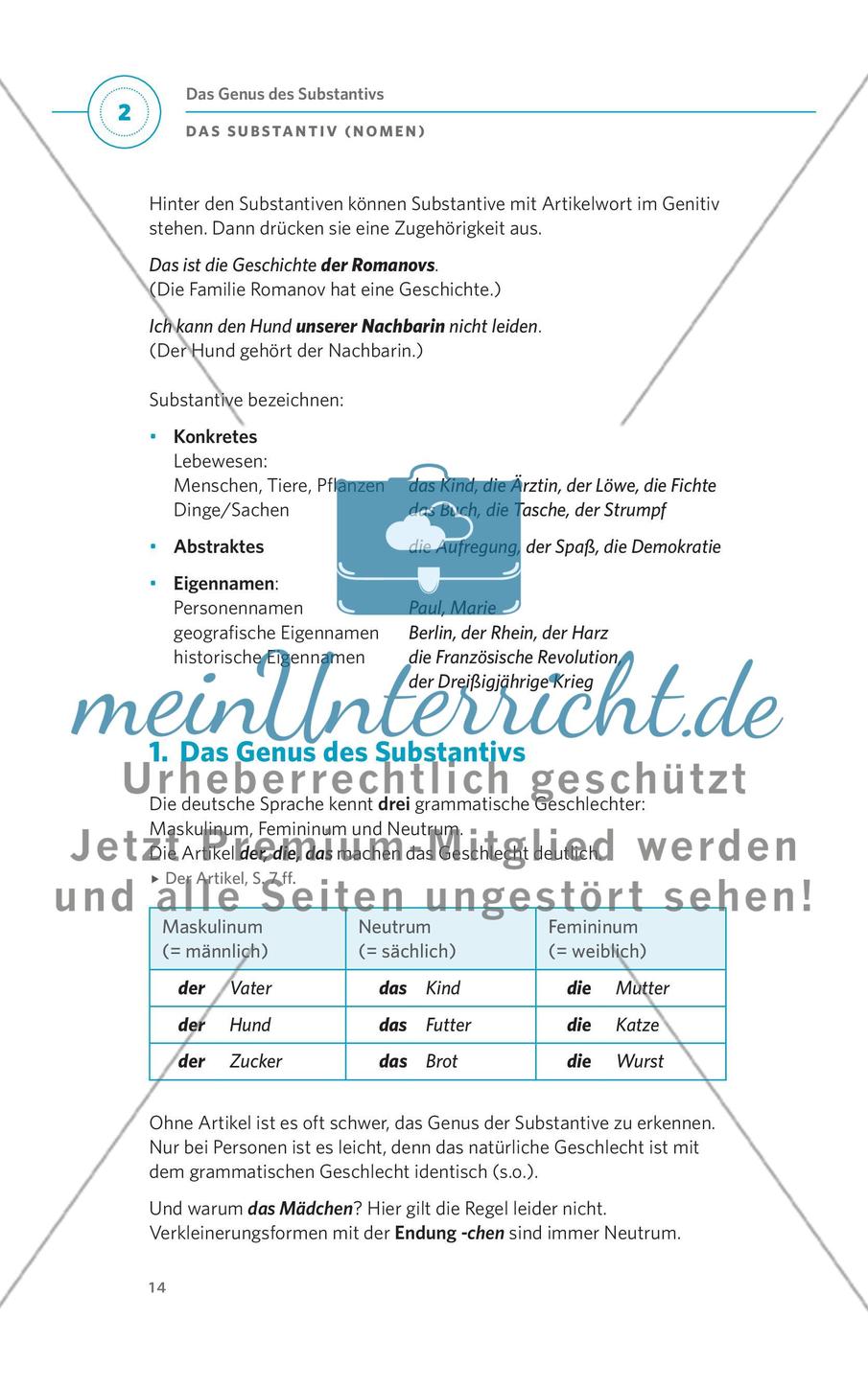 Das Substantiv (Nomen) Preview 2