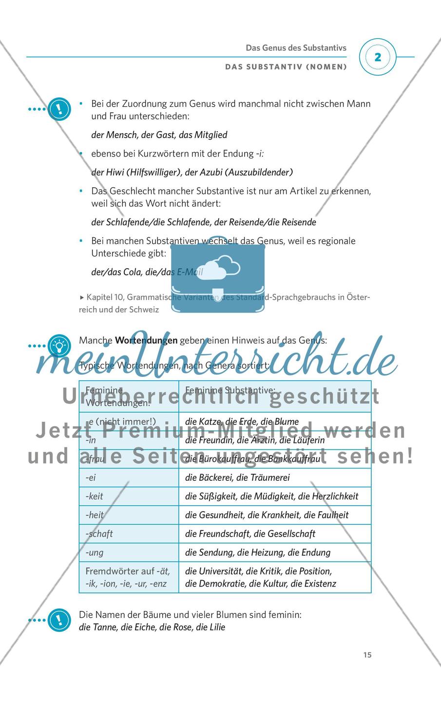 Das Substantiv (Nomen) Preview 3