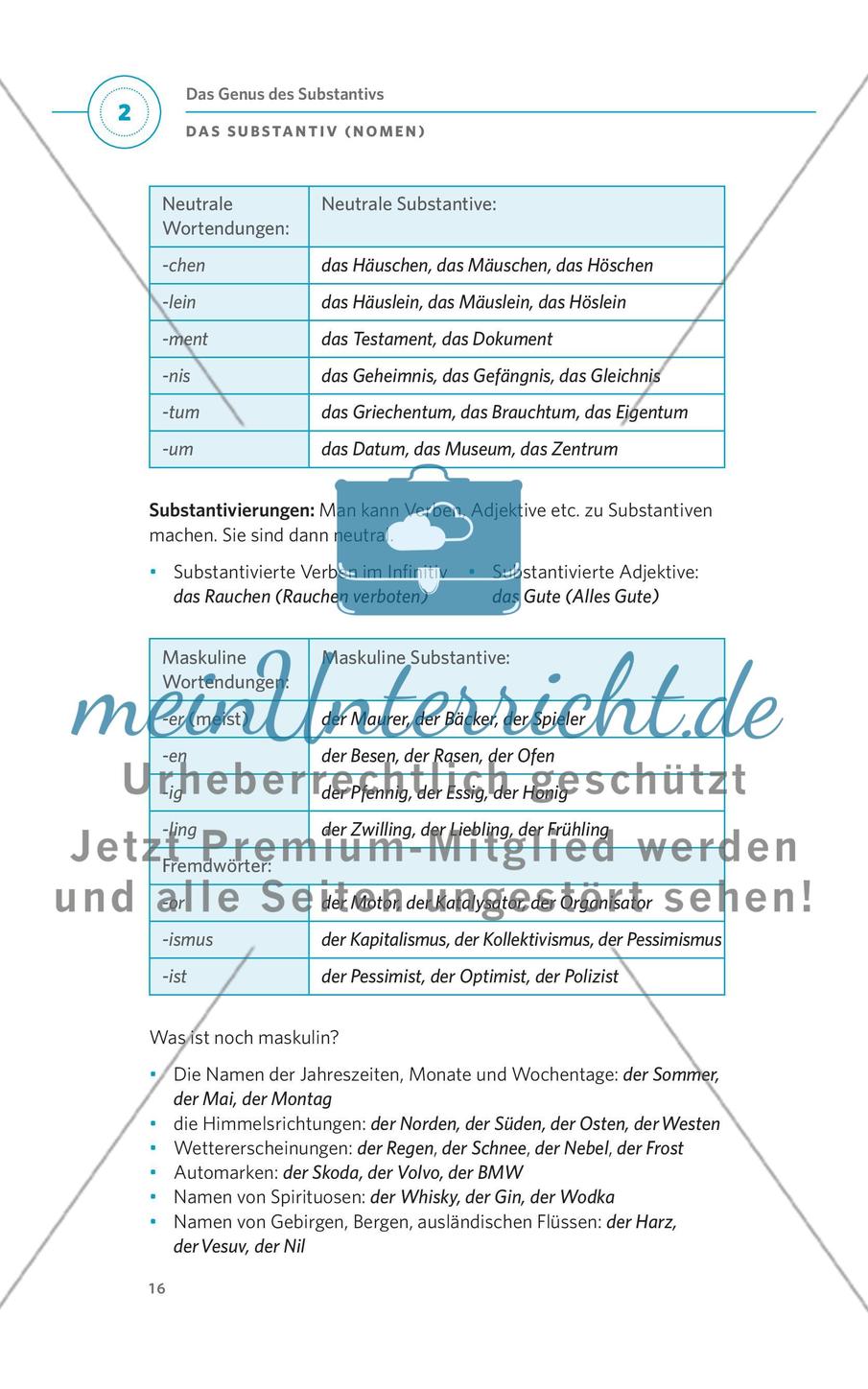 Das Substantiv (Nomen) Preview 4