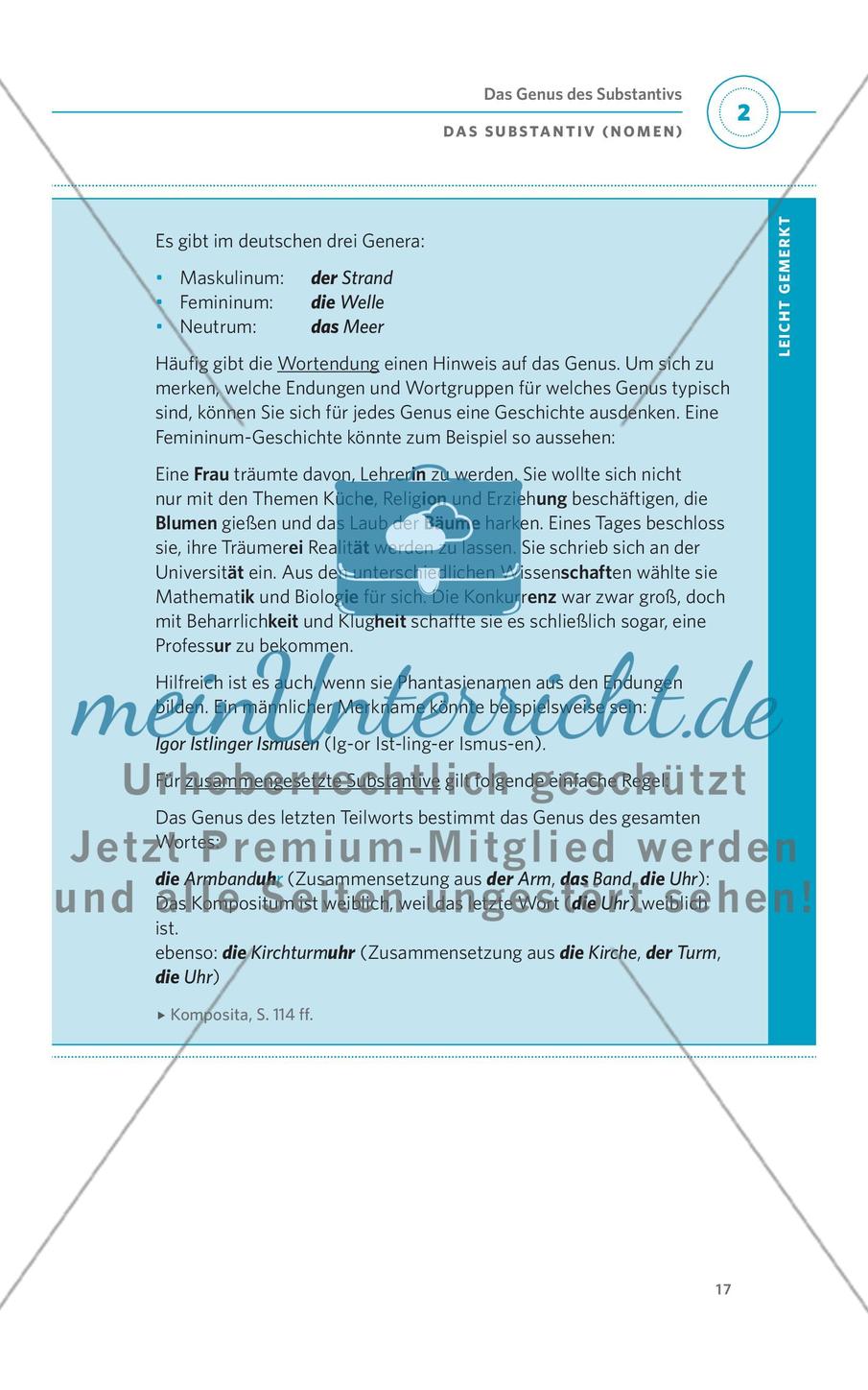 Das Substantiv (Nomen) Preview 5