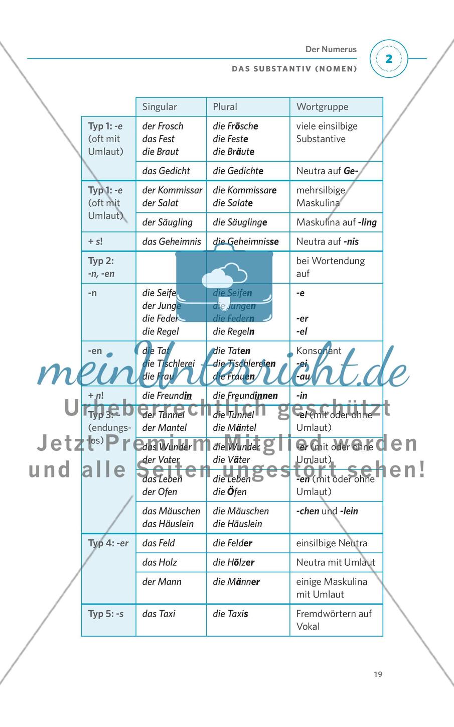 Das Substantiv (Nomen) Preview 7