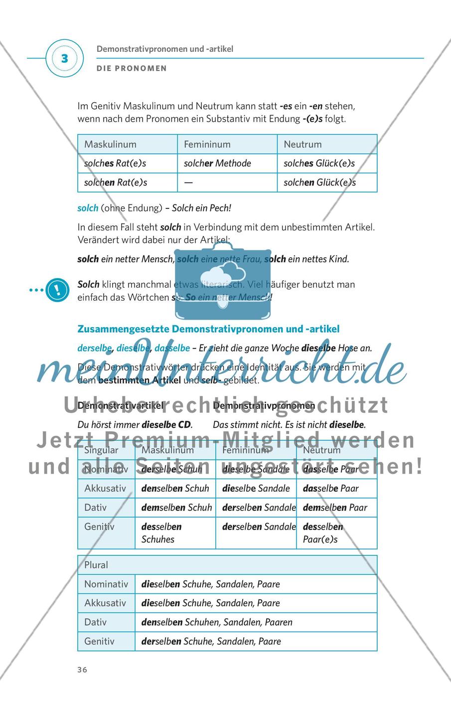 Die Pronomen Preview 11