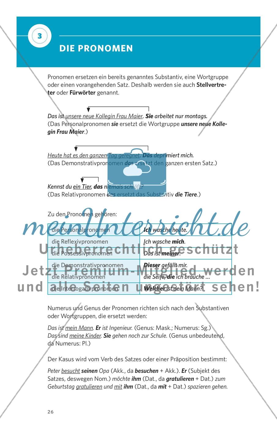 Die Pronomen Preview 1