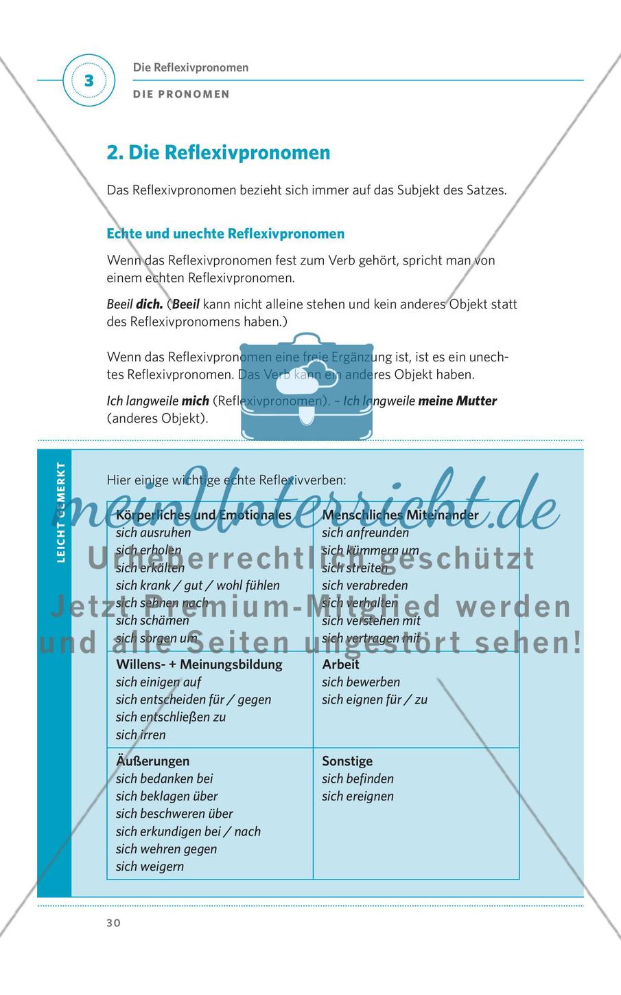 Die Pronomen Preview 5