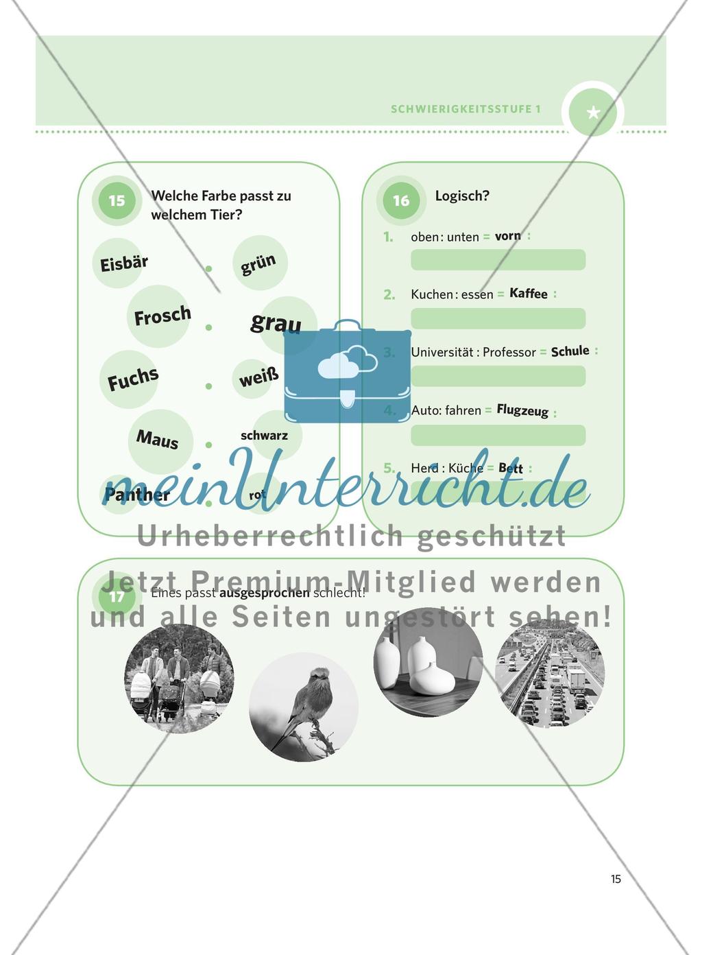 250 Rätsel DaF – Schwierigkeitsstufe 1: Teil 1 Preview 11