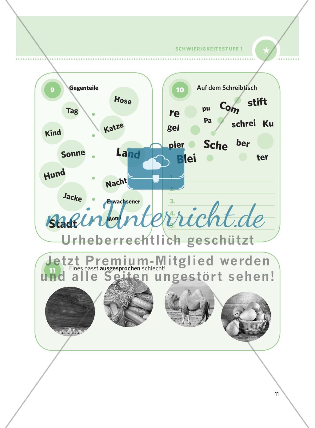 250 Rätsel DaF – Schwierigkeitsstufe 1: Teil 1 Preview 7