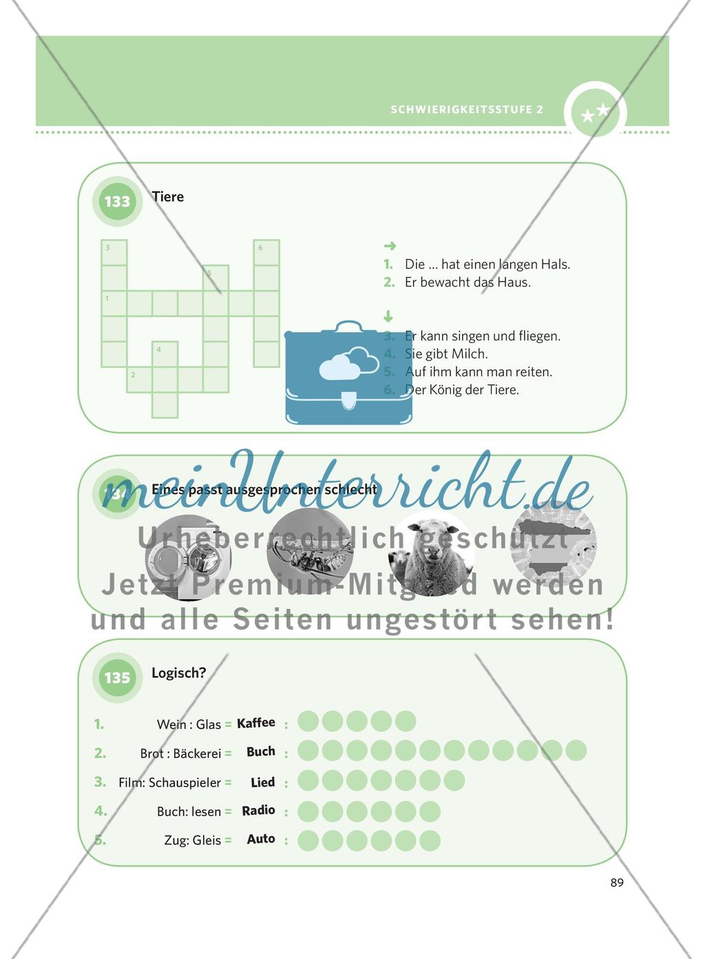 250 Rätsel DaF – Schwierigkeitsstufe 2: Teil 2 Preview 7