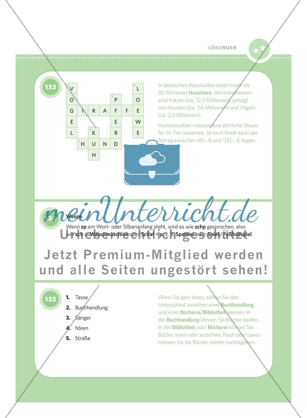 250 Rätsel DaF – Schwierigkeitsstufe 2: Teil 2 Preview 8