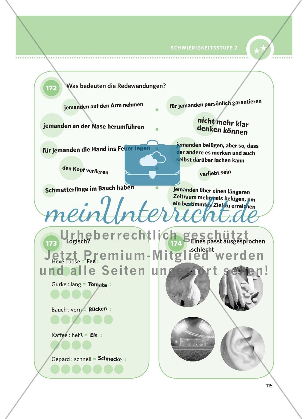 250 Rätsel DaF – Schwierigkeitsstufe 2: Teil 3 Preview 13