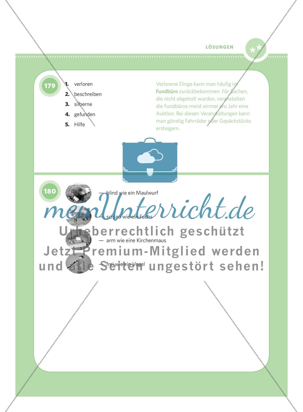 250 Rätsel DaF – Schwierigkeitsstufe 2: Teil 3 Preview 18