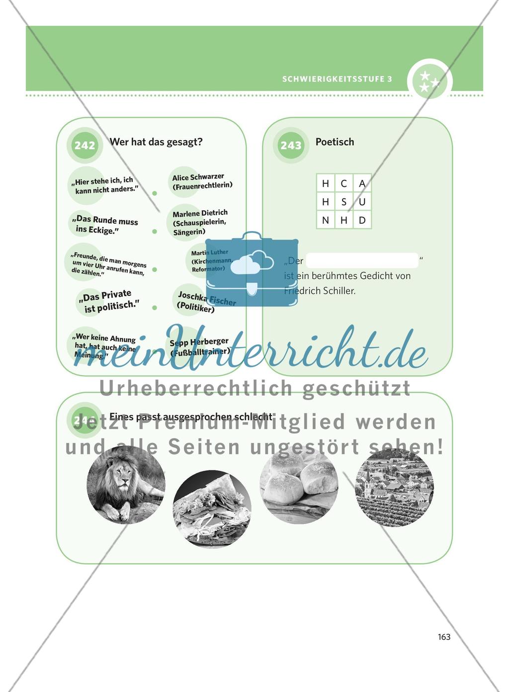 250 Rätsel DaF – Schwierigkeitsstufe 3: Teil 3 Preview 11