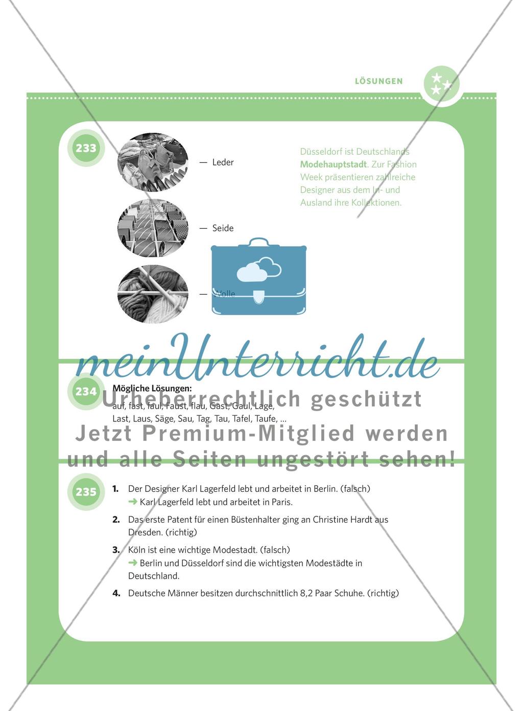 250 Rätsel DaF – Schwierigkeitsstufe 3: Teil 3 Preview 6