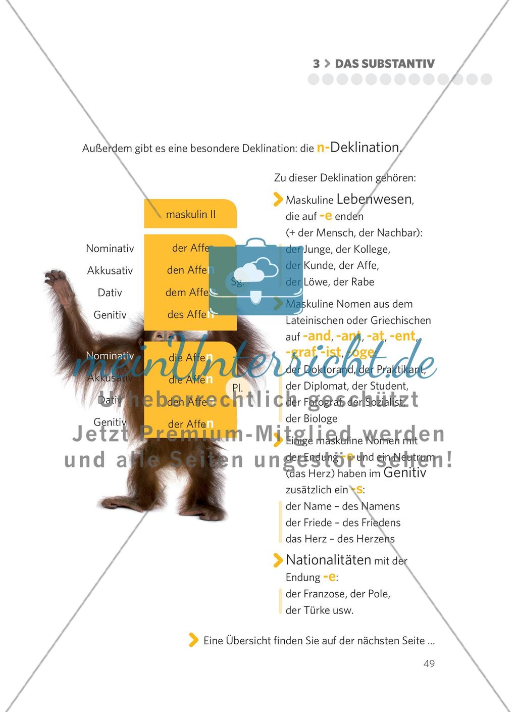 Das Substantiv Preview 22