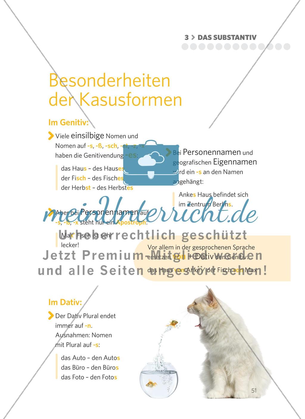 Das Substantiv Preview 24
