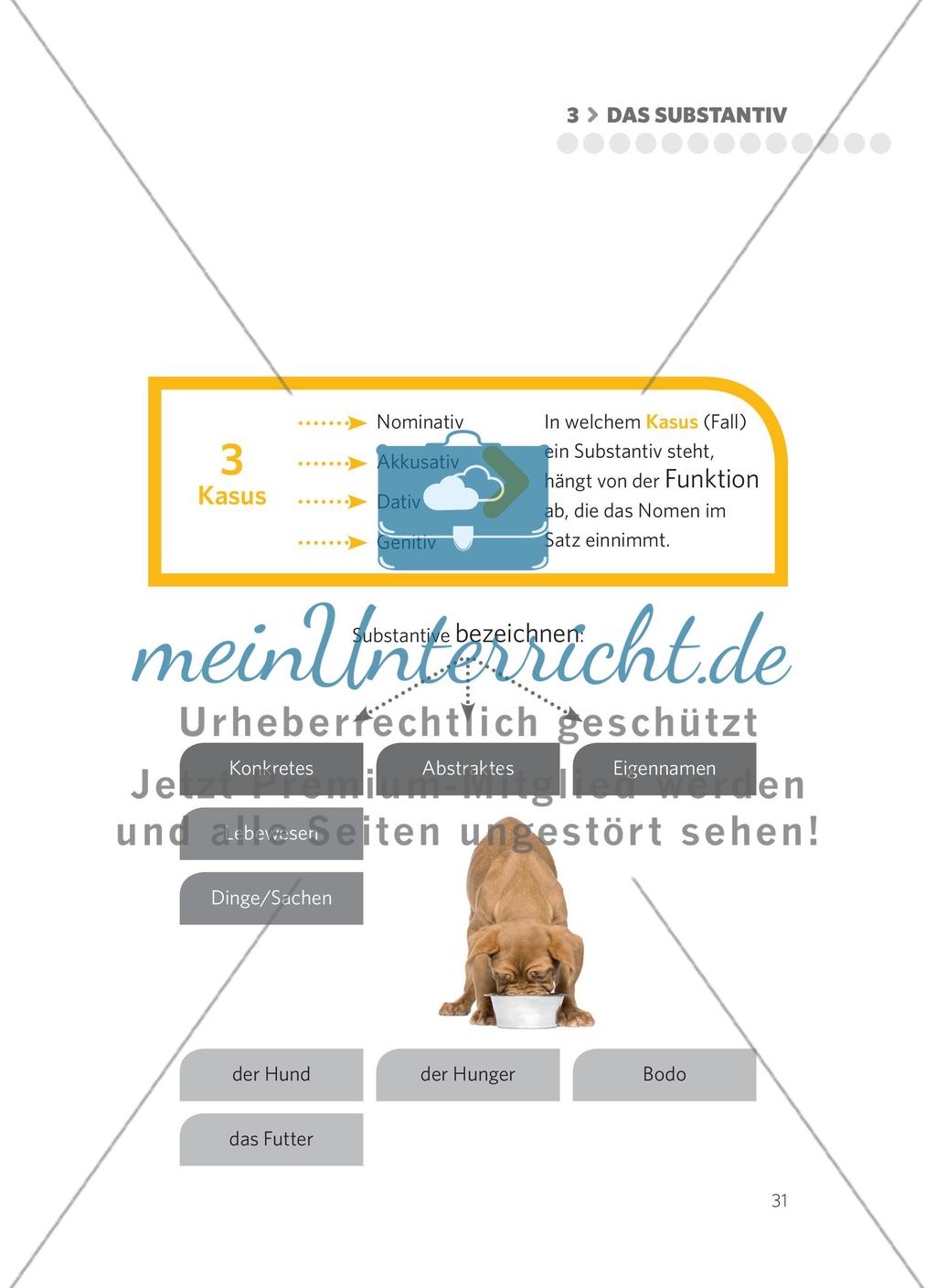 Das Substantiv Preview 4