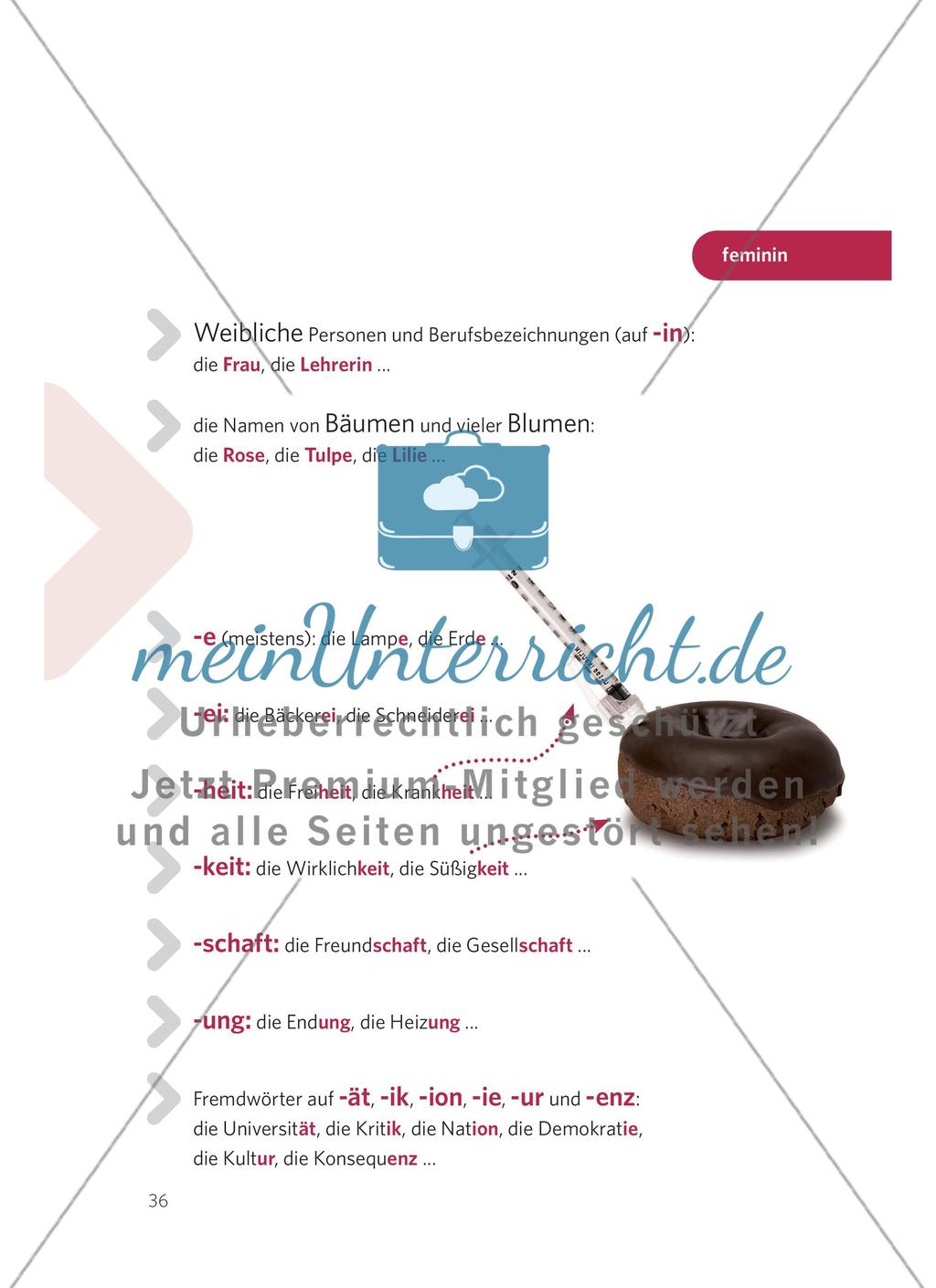 Das Substantiv Preview 9