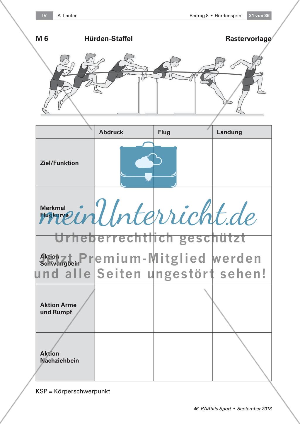 Schwungbeinbewegung und Distanzregulation Preview 2
