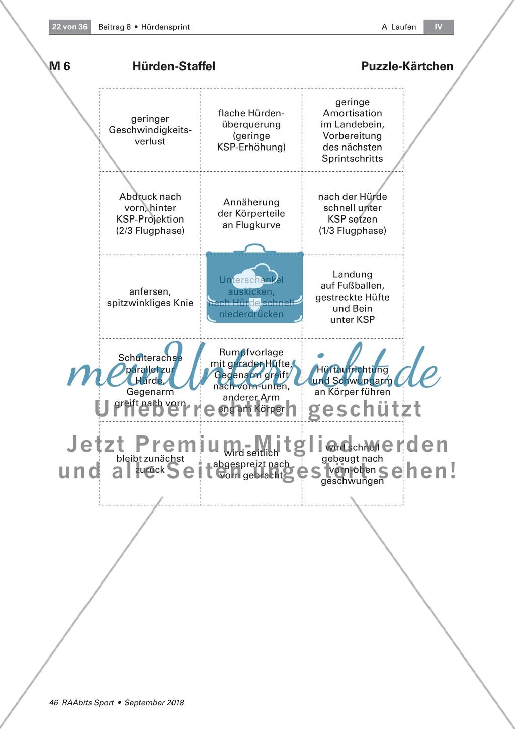 Schwungbeinbewegung und Distanzregulation Preview 3