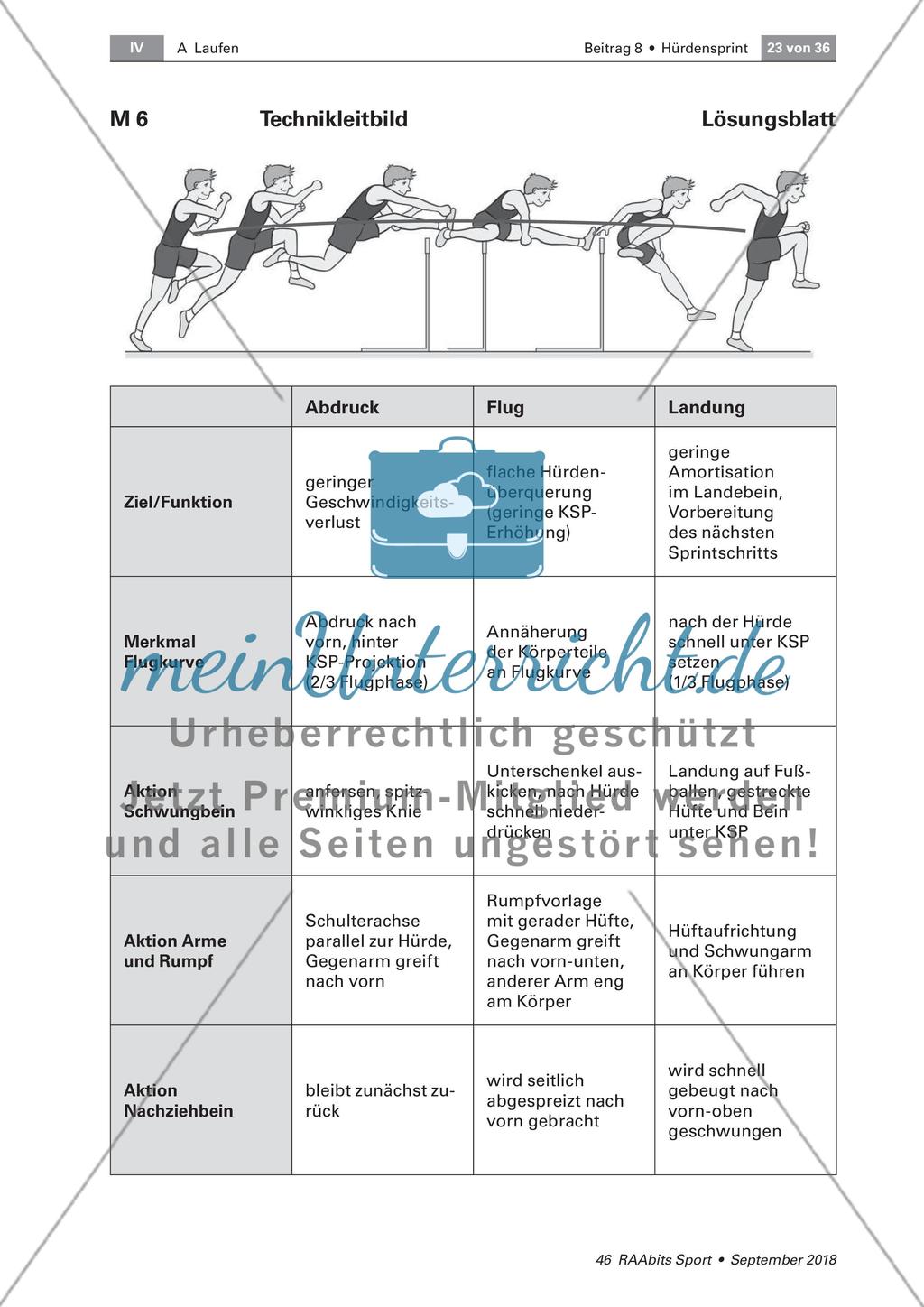 Schwungbeinbewegung und Distanzregulation Preview 4