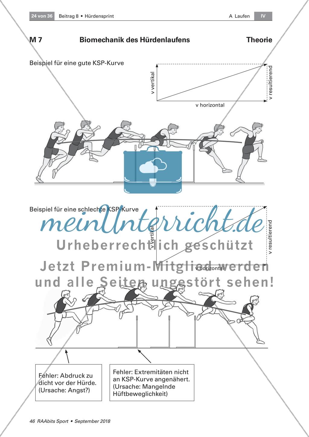 Schwungbeinbewegung und Distanzregulation Preview 5