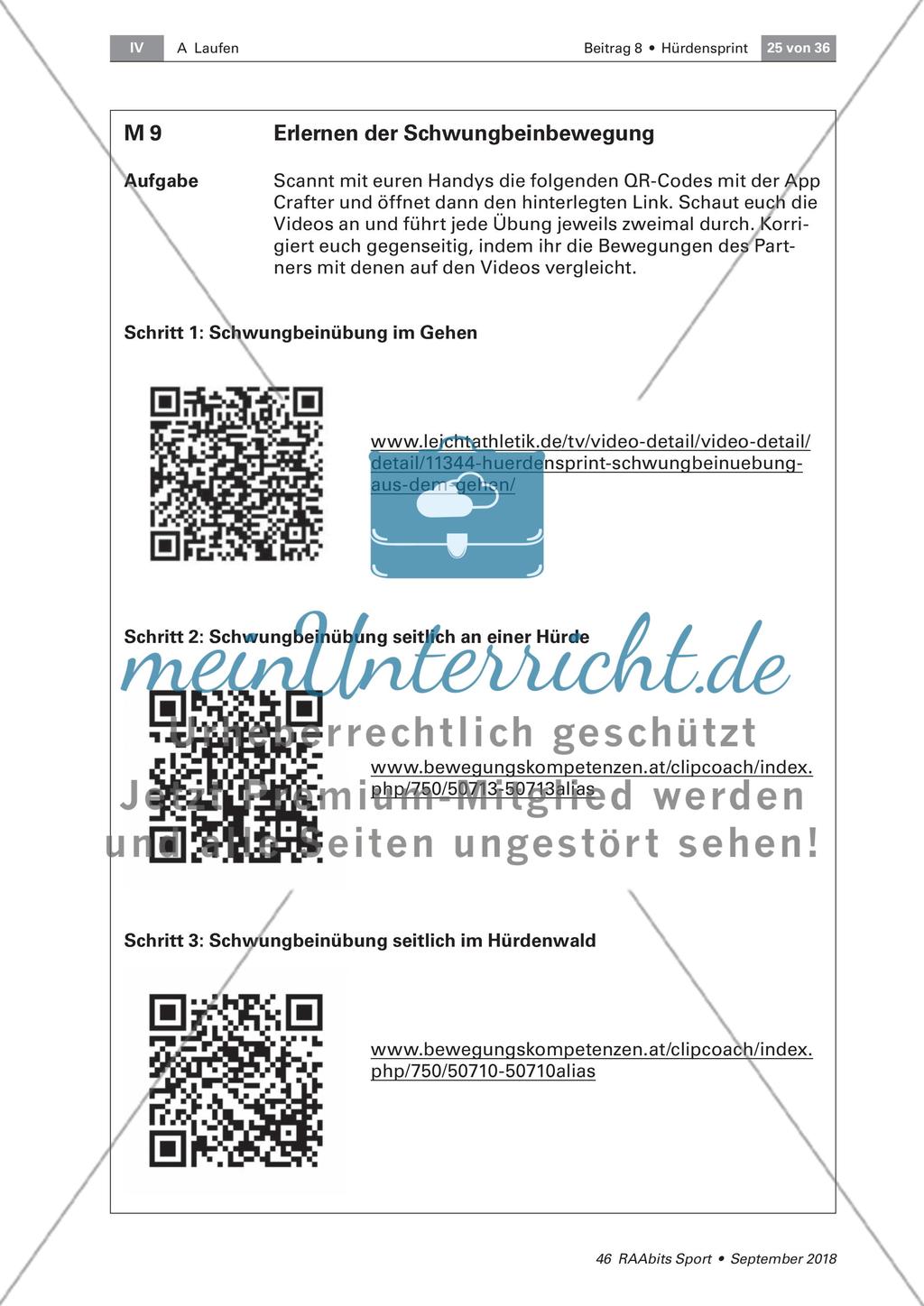 Schwungbeinbewegung und Distanzregulation Preview 7