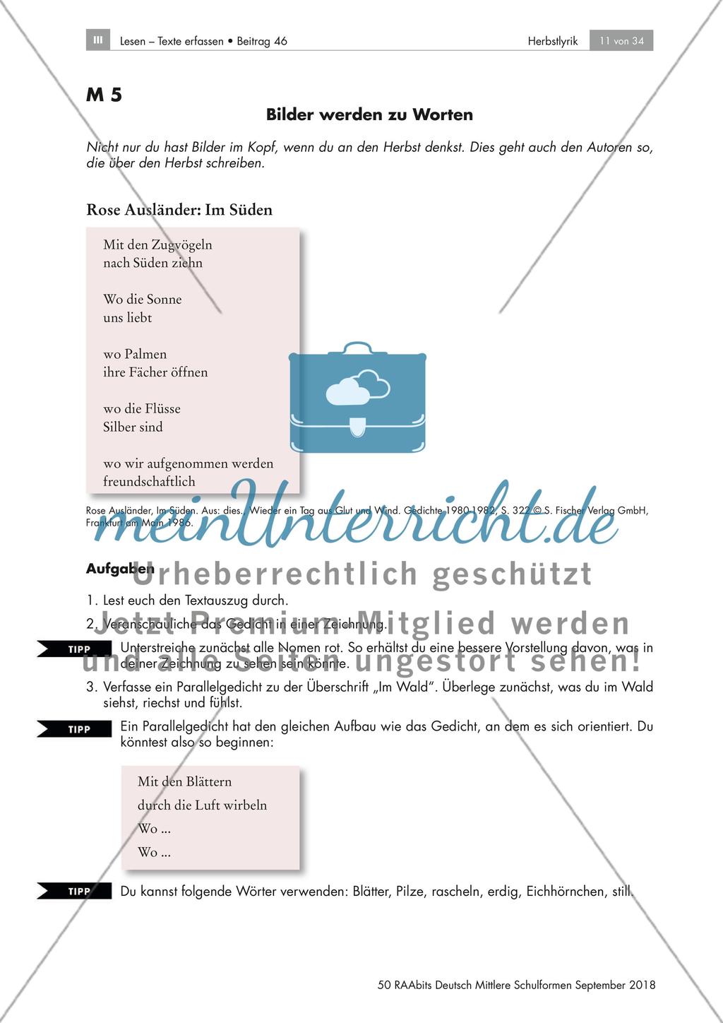 Herbstgedichte: Galeriegang, Stimmungen, Personifikationen Preview 5