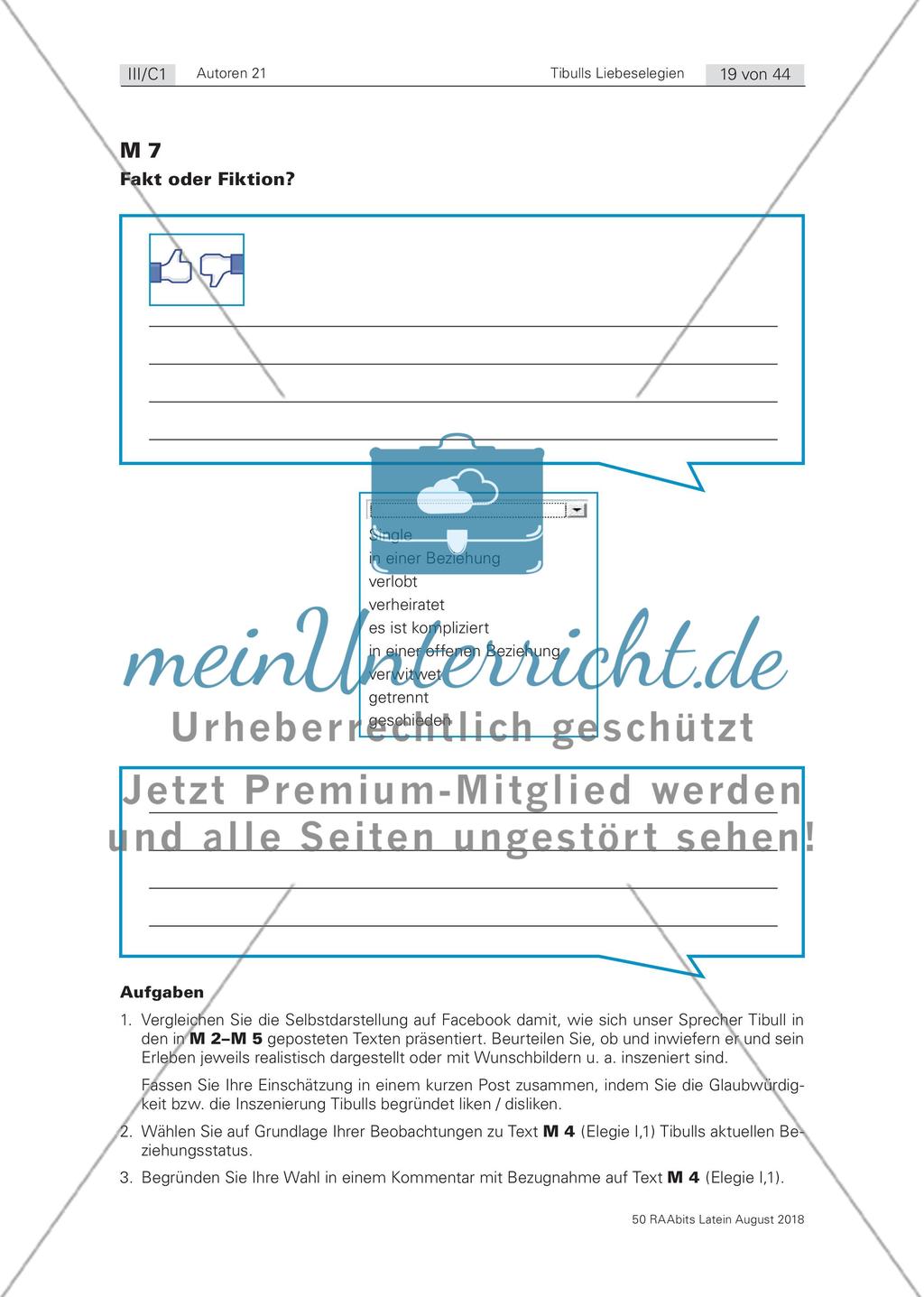 Das Konzept der elegischen Liebe Preview 5