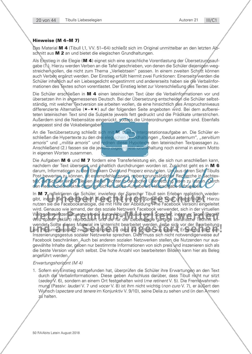 Das Konzept der elegischen Liebe Preview 6