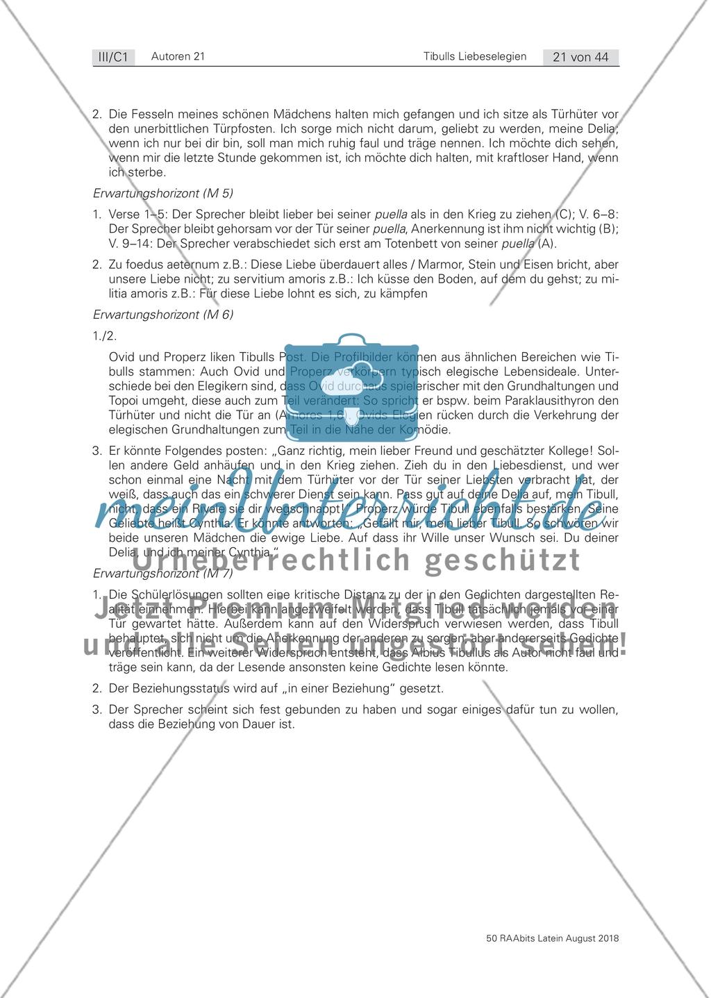 Das Konzept der elegischen Liebe Preview 7