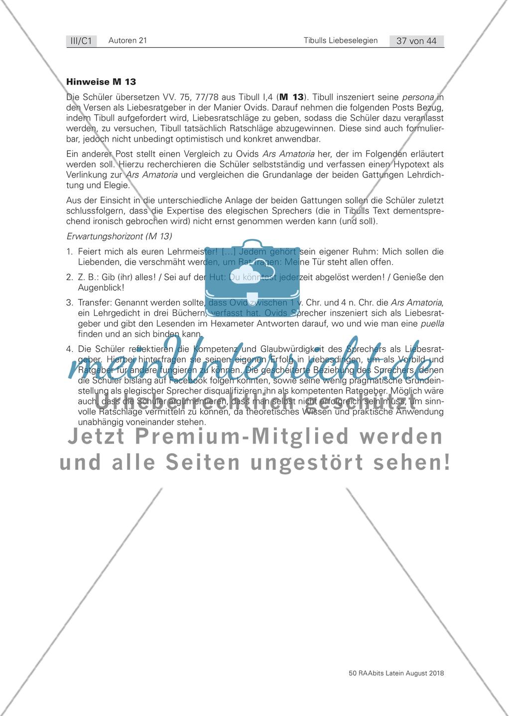 Die Liebeselegie Preview 3